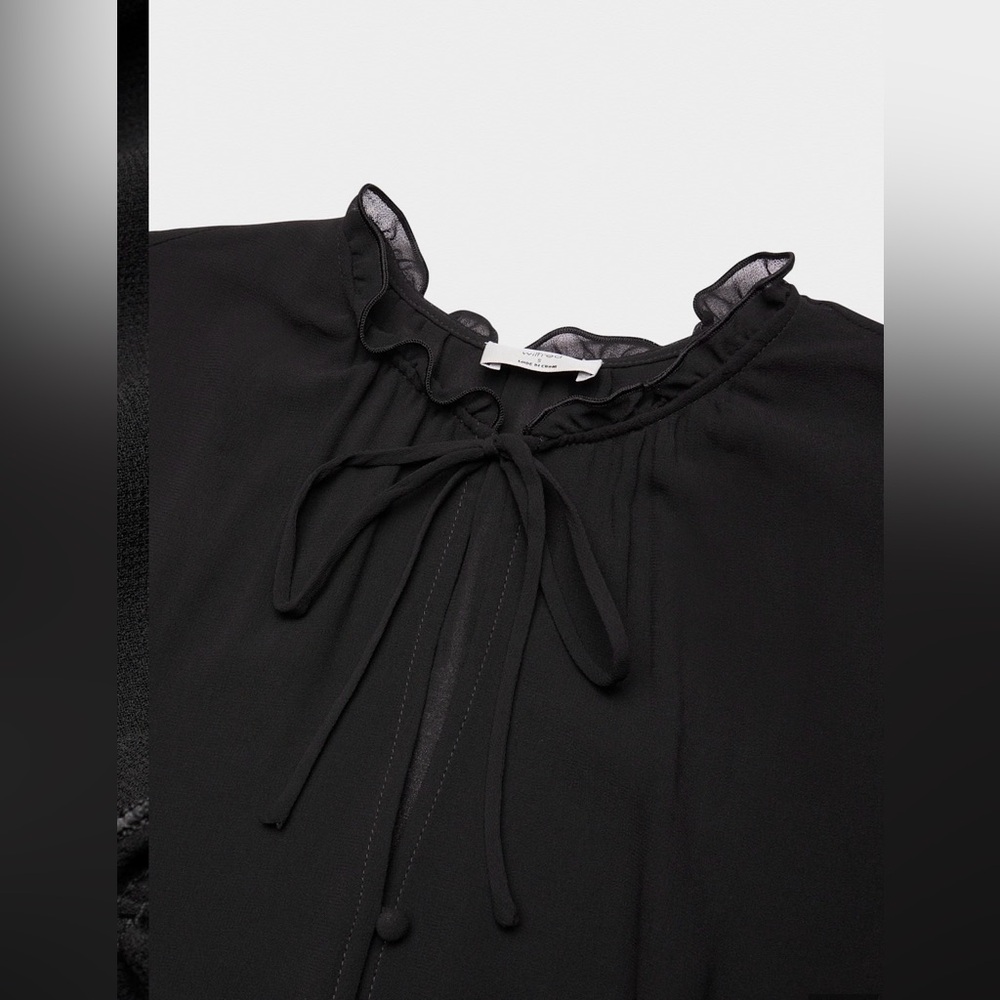Aritzia Sheer Black Blouse - Picture 10 of 15